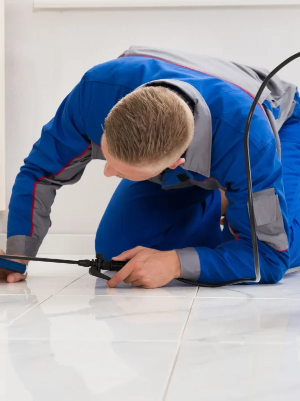 pest-control-new-malden